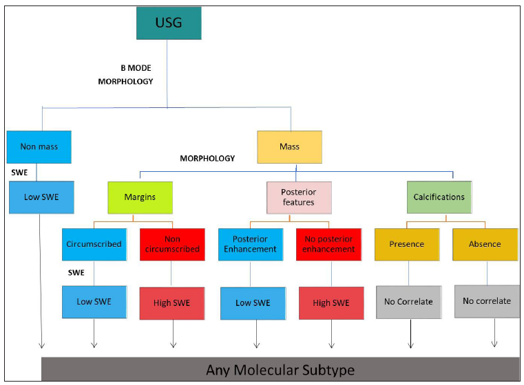 Flow chart demonstrating that elastography is dependent on morphological characters and plays no significant role in predicting molecular subtypes. SWE: shear wave elastography.